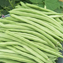 'Shuangqing Yudou' Snap Bean Seeds, 25g