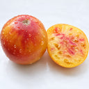 506 Pink Lemon Tomato, 5 Seeds