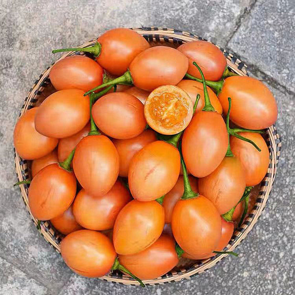 Tree tomato Seeds, 20 Seeds