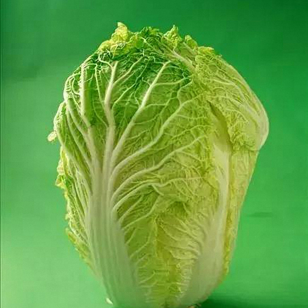 Gaokang 78 Chinese Cabbage Seeds, 5 × 5g Bags