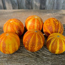 Queen Anne's Pocket Melon, 20 Seeds