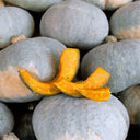 Silver Chestnut Pumpkin Seeds, 10 Seeds