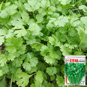 Yunxiang 369 Coriander Seeds, 50g