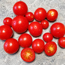 299 Microdwarf Miri Miri Tomato, 5 Seeds