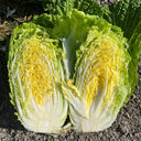 Double Season Golden Inlaid Jade Cabbage, 5g