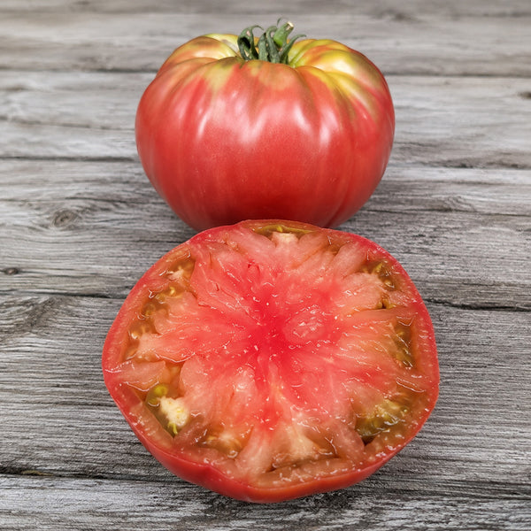 73 Polaris Tomato, 5 Seeds