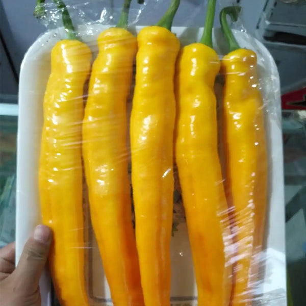 Golden Fragrant Horn Pepper Seeds, 100 Seeds
