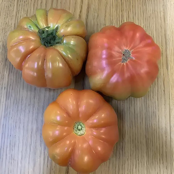 'Dongfanghong' Tomato Seeds, 10 Seeds