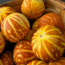 Tiger Melon, 10-15 Seeds