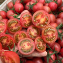 Pink Beibei Cherry Tomato, 30 Seeds