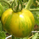 Sandy-Fleshed Cherry Tomato, 30 Seeds