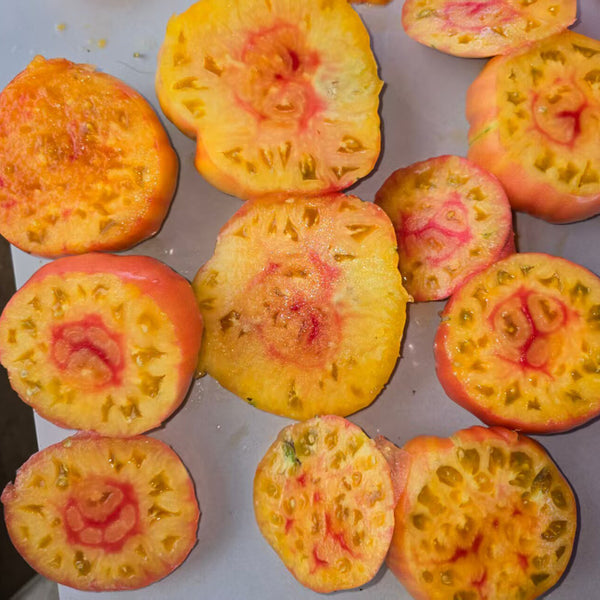 1013 Cherokee Purple Bicolor Tomato, 5 Seeds
