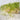 Clean Alfalfa Sprouting Seeds, 30 Grams ≈ 15000 Seeds