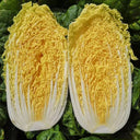 ‘Golden Pearl’ Baby Cabbage Seeds, 5g