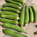 Yushuai Smooth Luffa, 10 Seeds