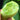 Yunü Mini Fruit Cucumber Seeds, 10 Seeds
