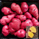 Peruvian Andean Potato Seeds