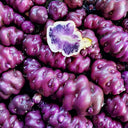 Peruvian Andean Potato Seeds