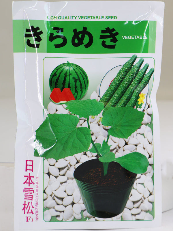 Japan Rootstock White Pumpkin Seeds for Grafting Cucumbers, Watemelons, Sweet Melons