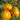 888 Marmalade Temptation F2 Tomato, 5 Seeds