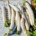 'Xinxuan 13-6' Early-Maturing Radish Seeds, 20g
