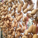 'Little Winter Melon' Gourd, 10 Seeds