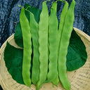 Green Dragon Snap Bean Seeds, 5 × 10g Bags