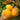 906 Starlight Tomato, 5 Seeds