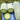 Baocui F1 Hybrid Hairy Gourd, 50 Seeds
