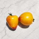 37 Grandmother's Greatness Tomato, 5 Seeds