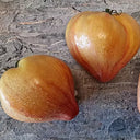 VT-16 Yellow Heart with Nose F2 Tomato Seeds, 5 Seeds