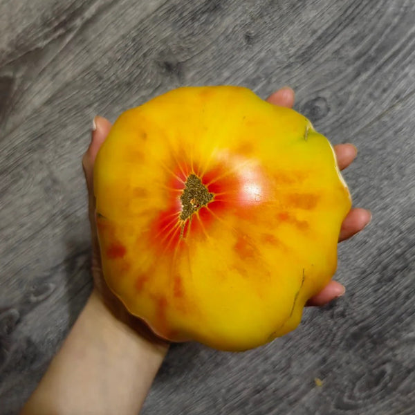 Cocktail Fruit Tomato, 20 Seeds
