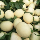 Haoyu Sweet Melon Seeds, 100 Seeds