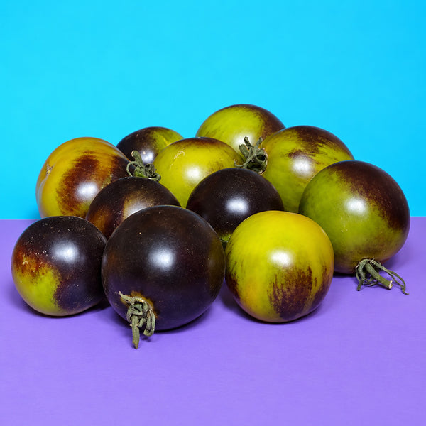 332 Black Bayou Tomato, 5 Seeds