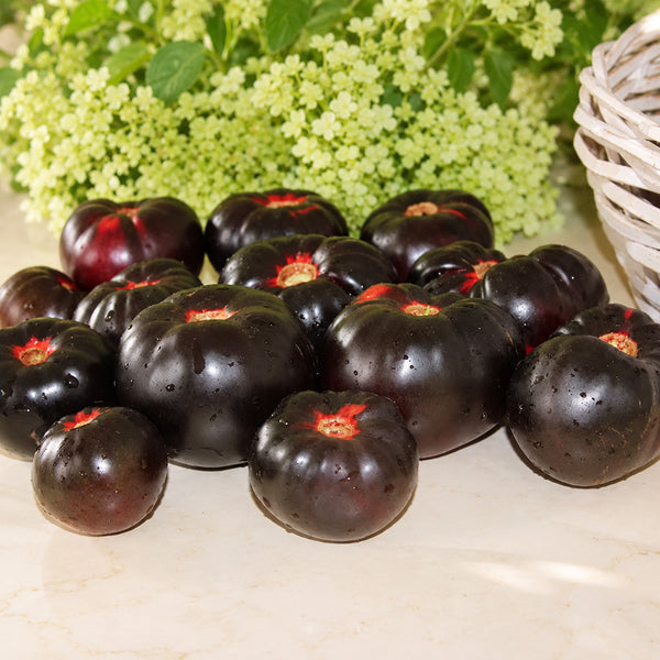 204 Amethyst Heart Tomato, 5 Seeds