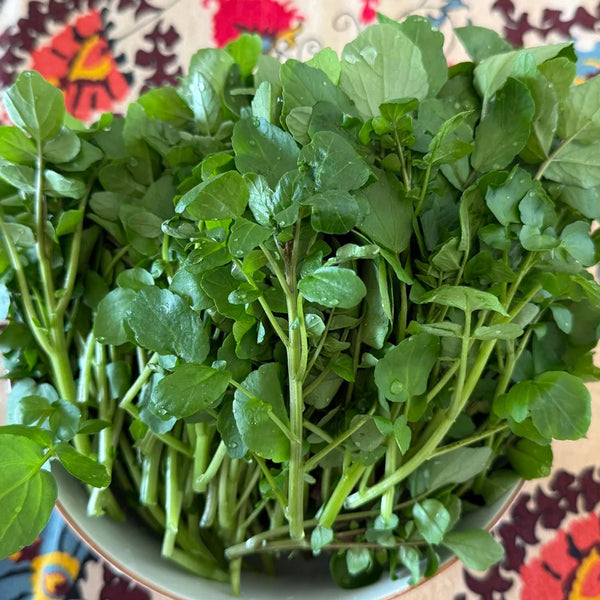 Watercress, 1000 Seeds