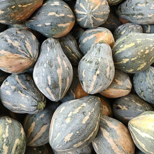Sweet Taro Flavor Pumpkin Seeds, 10g
