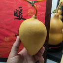 Peach Shaped Gourd, 10 Seeds