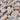 Sweet Dough Millstone Pumpkin, 10 Seeds