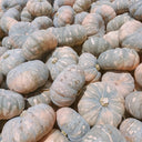 Sweet Dough Millstone Pumpkin, 10 Seeds