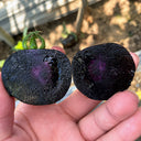 W1357 Blueberry Fruit Tomato, 100 Seeds