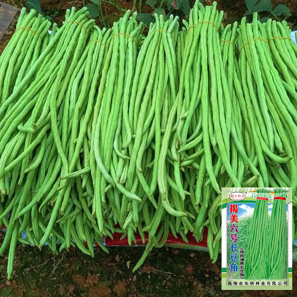 Jiemei No.6 Long Bean Seeds, 20g