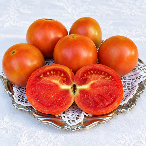 462 Winter Wonder Tomato, 5 Seeds