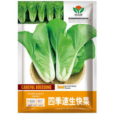 Chinese Cabbage