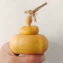 Money Bag Eight Treasures Gourd, 10 Seeds