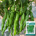 Qinglong Spiral Pepper Seeds, 100g