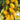 Yellow Pear Cherry Tomato Seeds, 2g