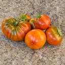 237 Dwarf Copperhead Tomato, 5 Seeds