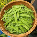 'Cuibao 616' Snow Pea Seeds, 30g