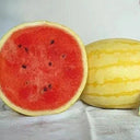 Golden No.3 Watermelon Seeds, Pack of 100